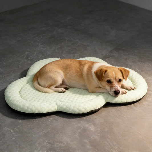 Cloud Shape Ice Silk Pet Cooling Mat Summer - MyPetDollar.com