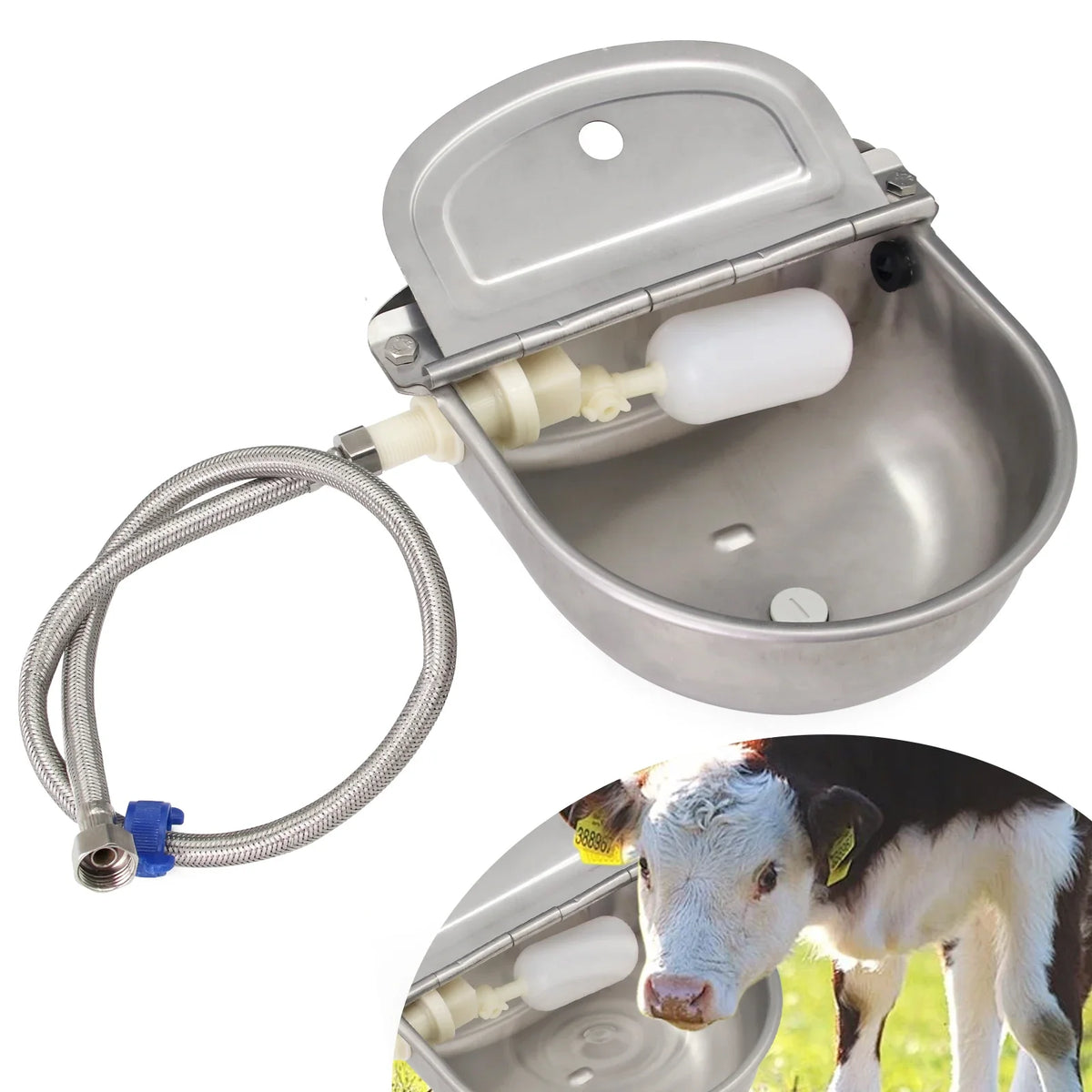 Automatic Cow Water Bowl Stainless Steel - MyPetDollar.com