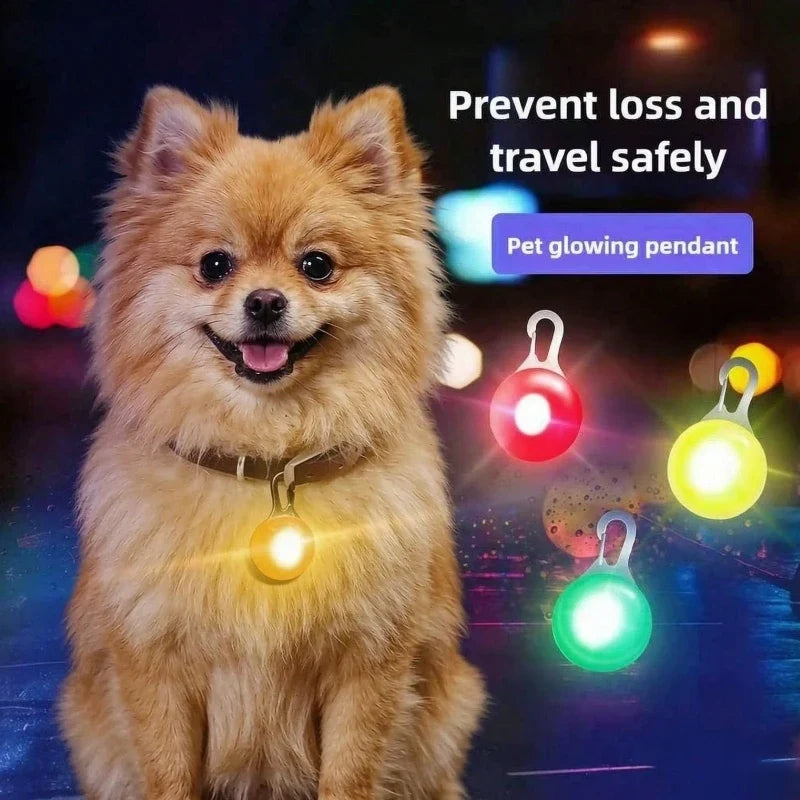 LED Dog Collar Pendant Luminous Leash - MyPetDollar.com