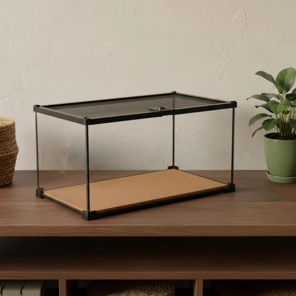 Glass Amphibian Terrarium Anti-Security - MyPetDollar.com