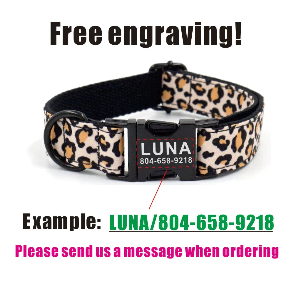 Personalized Dog Collar Custom Puppy - MyPetDollar.com