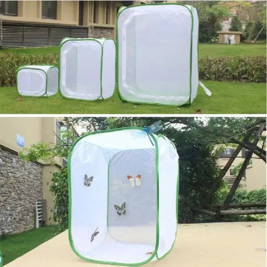 Collapsible Insect Cage Mesh Habitat Bird - MyPetDollar.com
