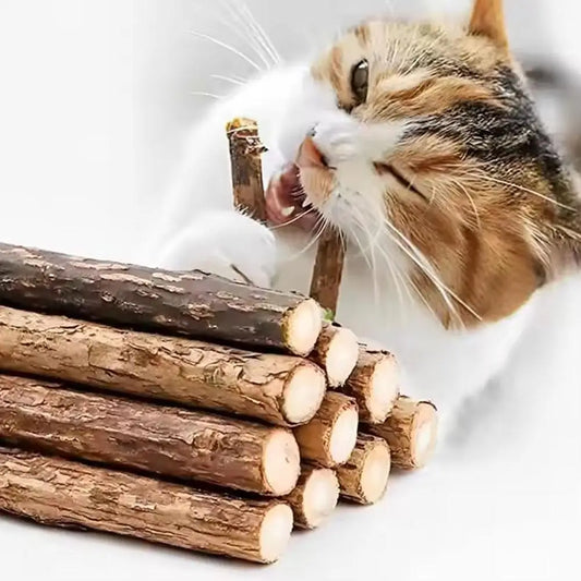 5-50pcs Catnip Stick Pet Cat Molar Toys - MyPetDollar.com