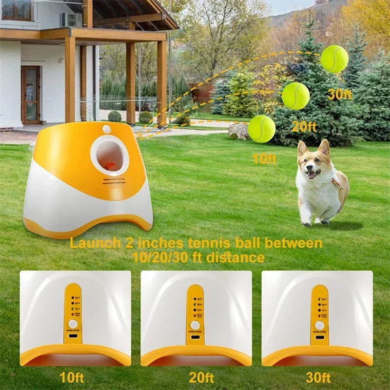 Dog Tennis Launcher Automatic Pet Dogs Chase - MyPetDollar.com