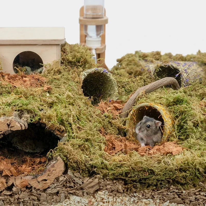Hamster Tunnel & Grass-Based Modular Pathway - MyPetDollar.com