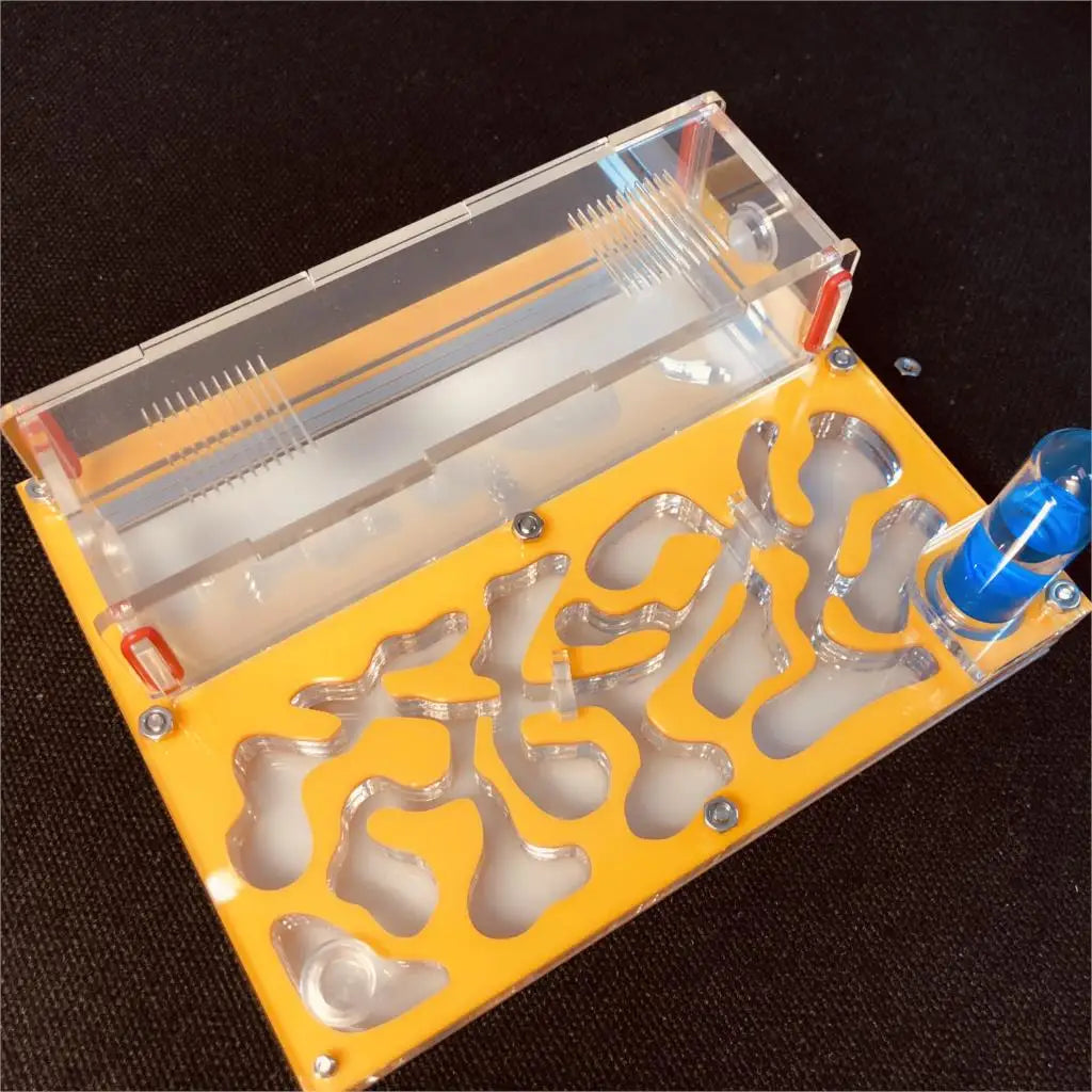 Acrylic 150mmx110mm Test Tube Moisture Big Space Ant Nest