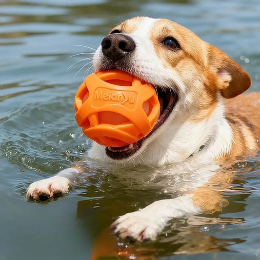 Durable Hollow Elastic Pet Dog Toys Ball - MyPetDollar.com