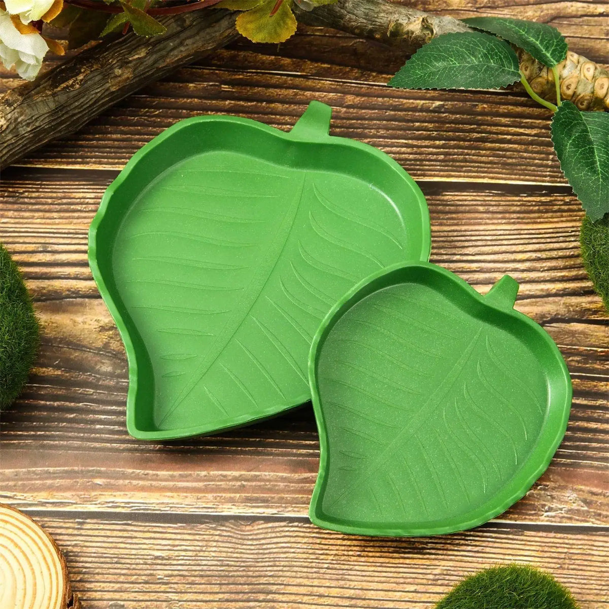 Leaf Reptile Food Water Bowl Reptile Food - MyPetDollar.com