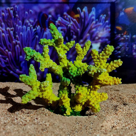 Colorful Simulation Coral Model Resin Craft - MyPetDollar.com