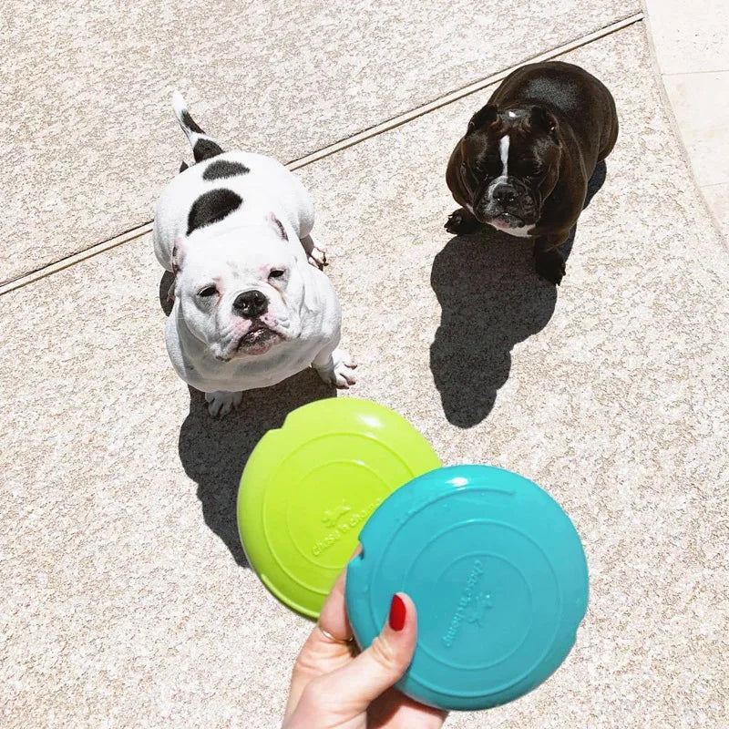 CAITEC Dog Toys Squeaking Foraging Disc - MyPetDollar.com