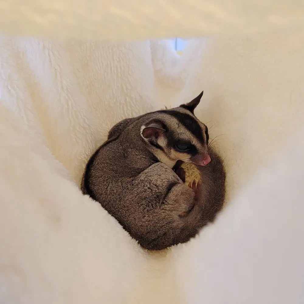 Pet Warm Bed Double-layer Hamster Hammock - MyPetDollar.com