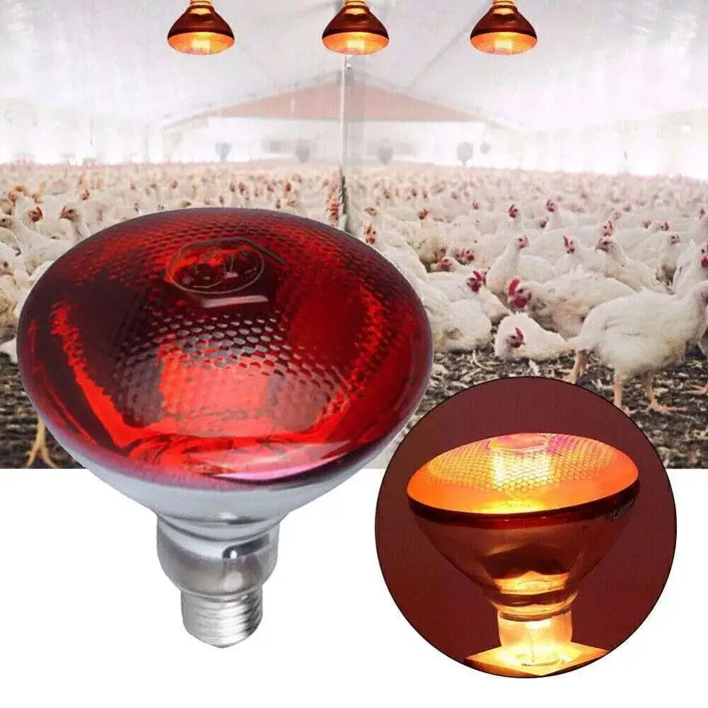100w 150w 175w 200w 250w 275w Pet Red - MyPetDollar.com