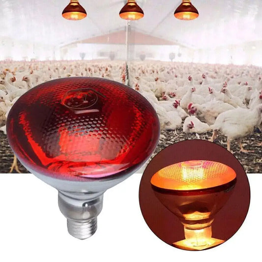 100w 150w 175w 200w 250w 275w Pet Red - MyPetDollar.com