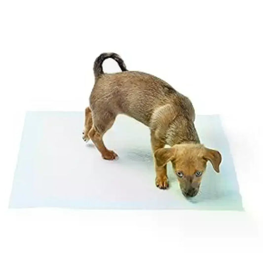 20/40/50/100 PCS Disposable Pet Training - MyPetDollar.com