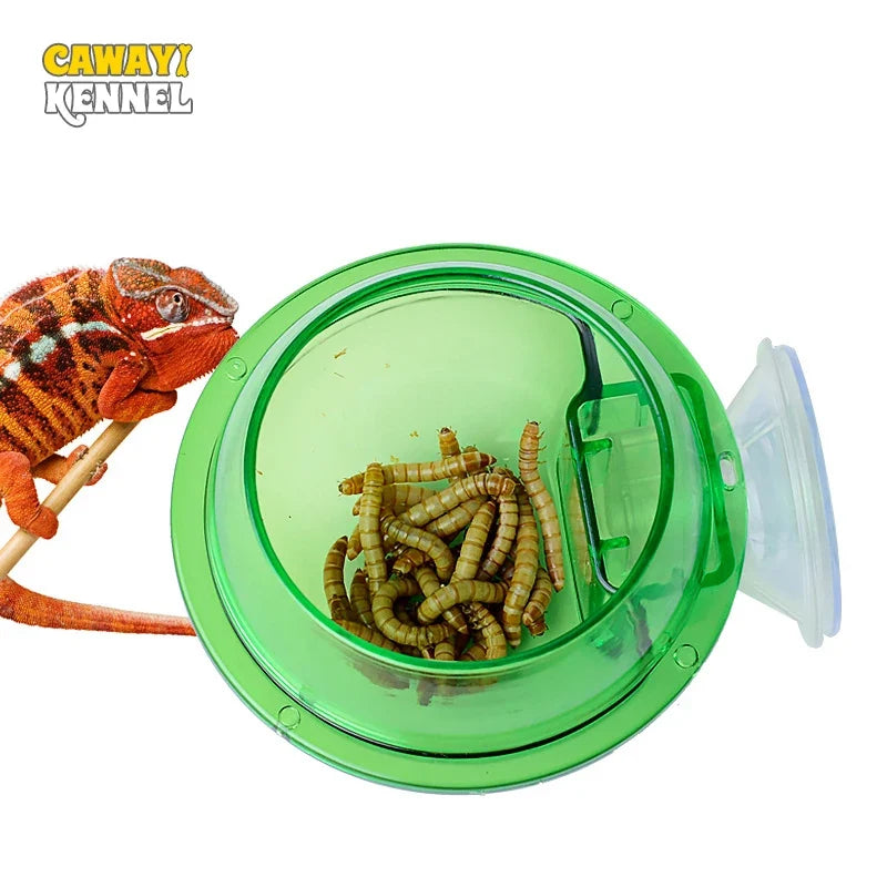 Arboreal Reptile Live Anti-escape Sucker - MyPetDollar.com