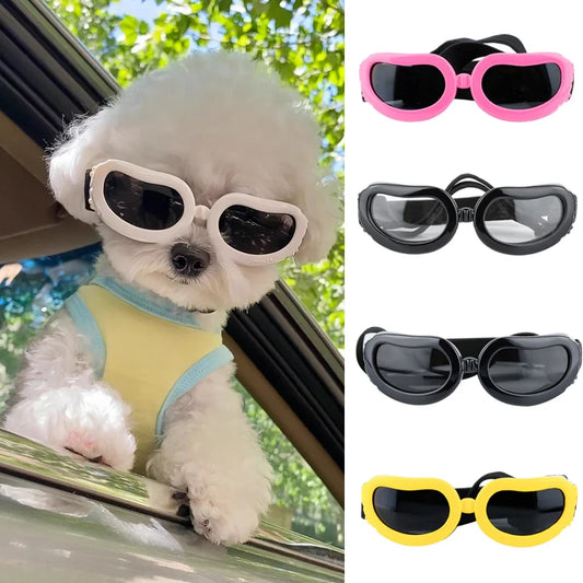 Summer Cat Puppy Sunglasses Fashionable - MyPetDollar.com