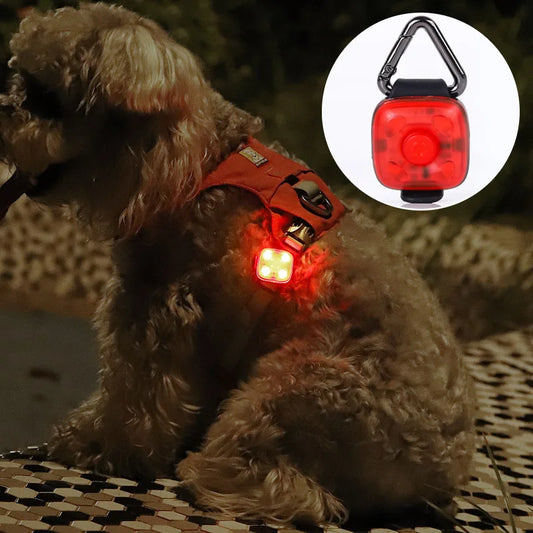 1pc Pet Luminous Pendant, Dog LED Walking - MyPetDollar.com