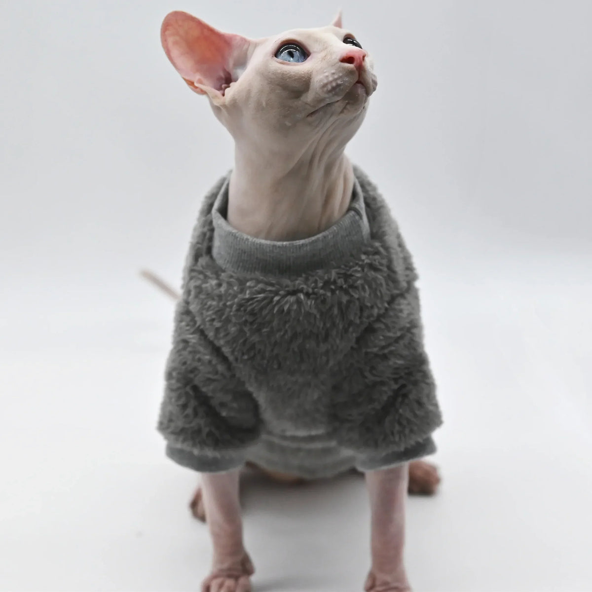 DUOMASUMI Soft Double-sided FluffY Winter - MyPetDollar.com