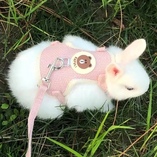 Cartoon Print Cat Rabbit Harness and Leash - MyPetDollar.com