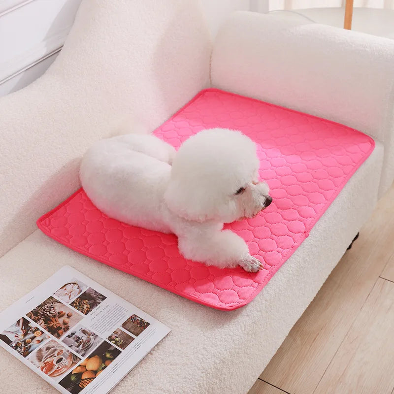 Reusable Washable Dog Pee Pad Blanket Super - MyPetDollar.com