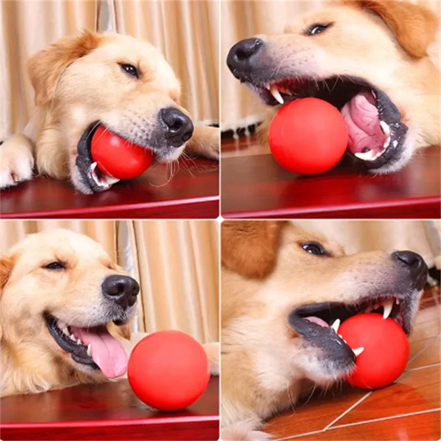 Dog Bouncy Balls, Indestructible Drop - MyPetDollar.com