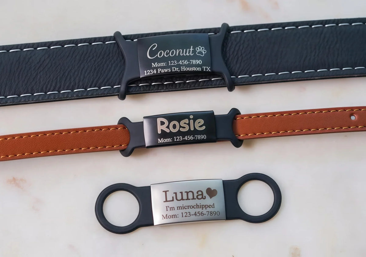 Silent Slide-On Dog Cat Collar Tag - MyPetDollar.com