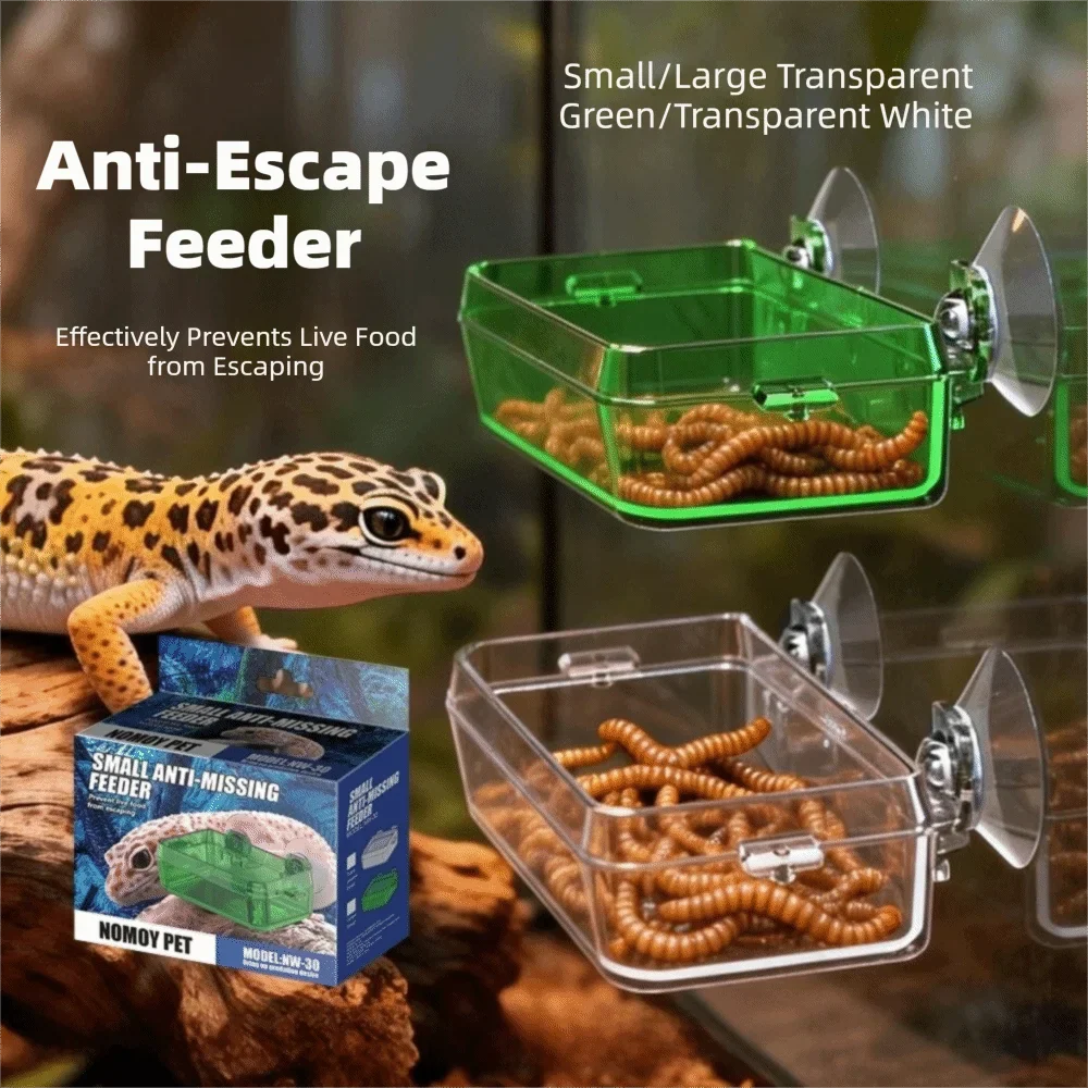 Anti-Escape Reptile Feeder Bowl Detachable - MyPetDollar.com