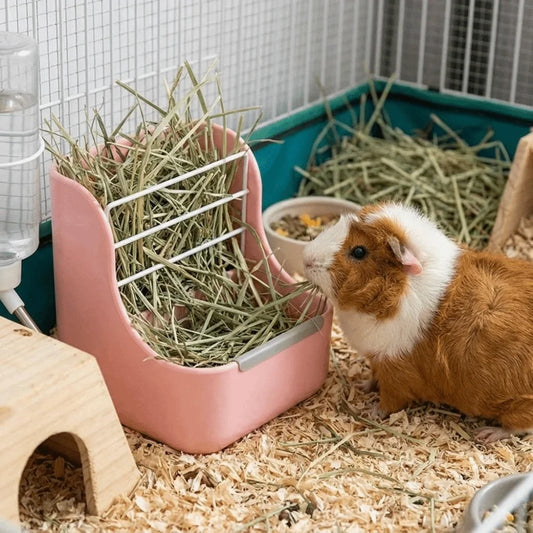 Pet Supplies 2 in 1 Hay Feeder Fixed Grass - MyPetDollar.com