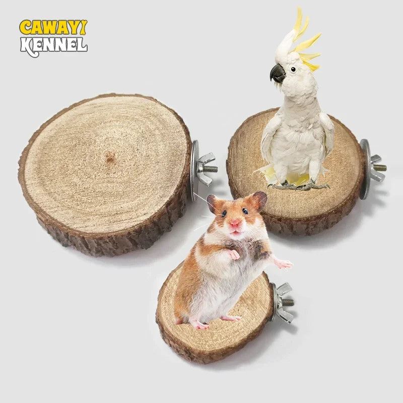 Parrot Hamster Round Stand Board Pet Bird - MyPetDollar.com