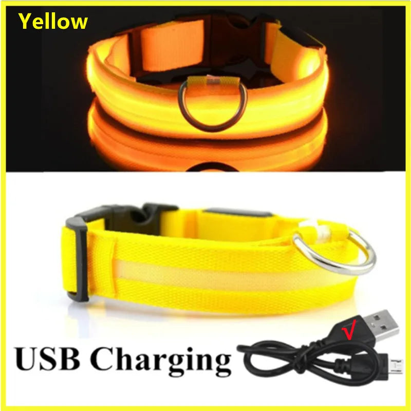 USB Rechargeable Luminous Collar Adjustable - MyPetDollar.com