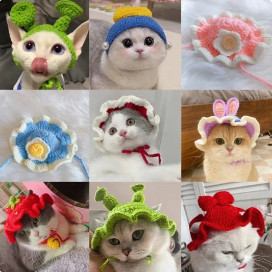 Cute Cat Hat Funny Pets Party Cosplay - MyPetDollar.com