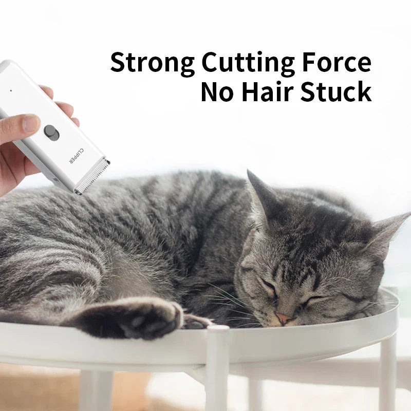 Pet Grooming Hospital Kittensand Puppies - MyPetDollar.com