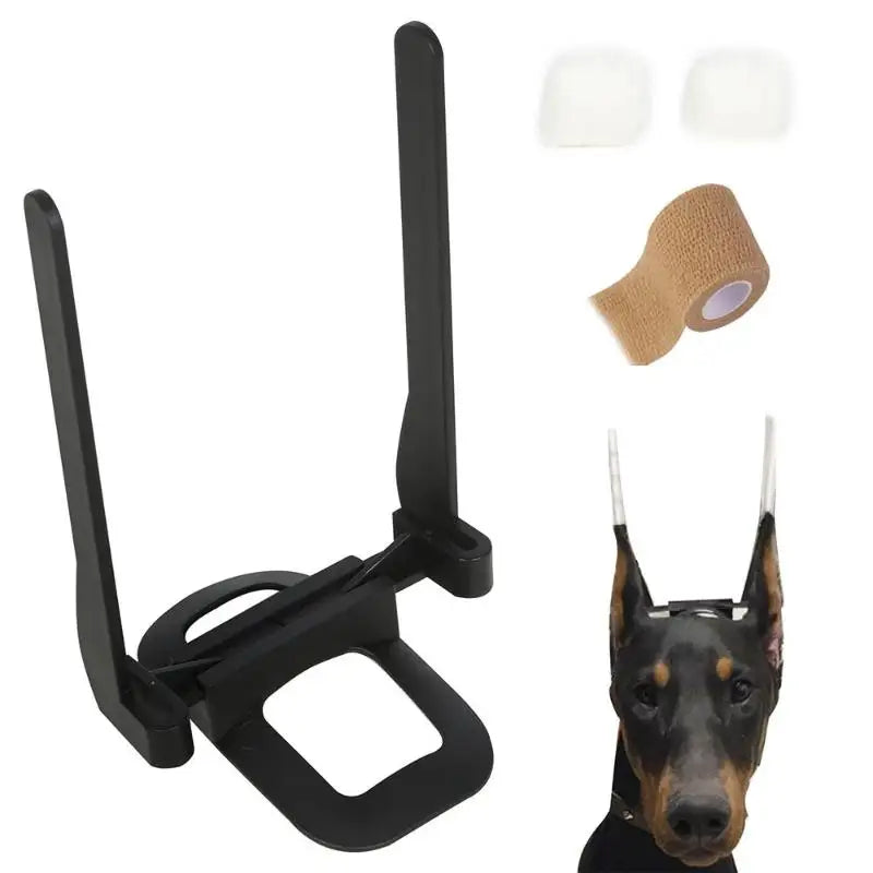 Durable Dog Ear Stand Fixed Support Correction Doberman – 4 Colors
