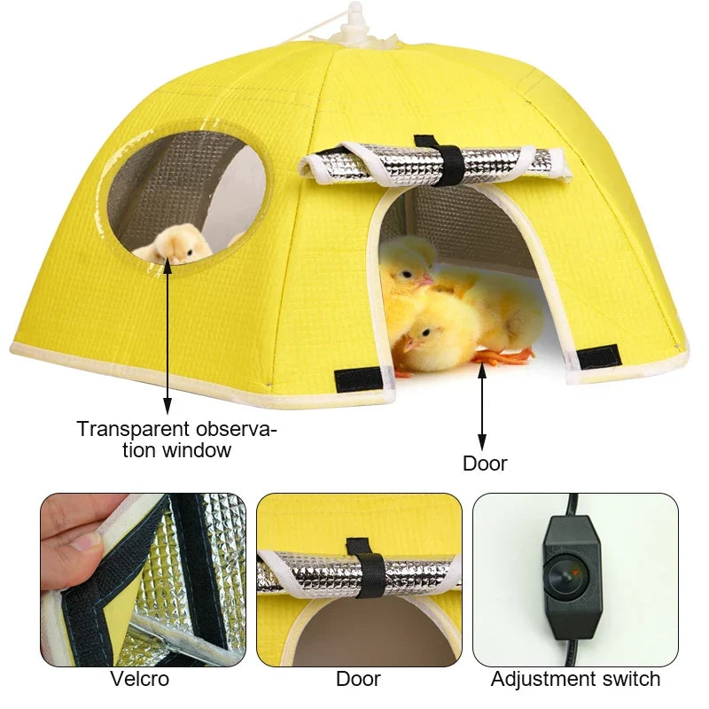 2Types Electric Chick Brooder Heating Cover - MyPetDollar.com