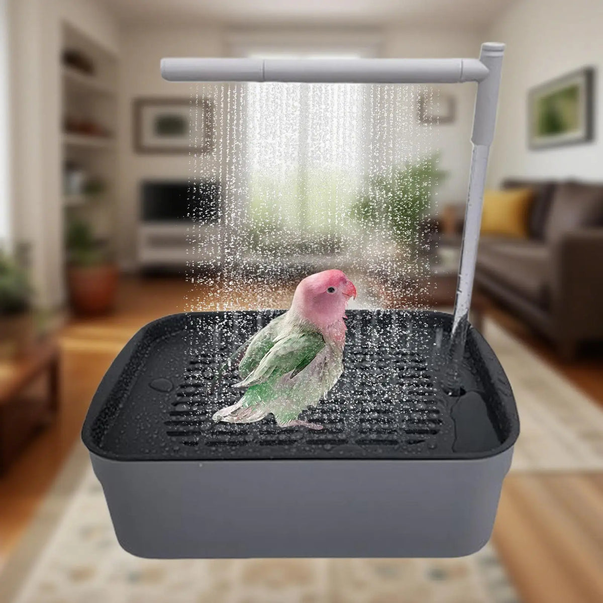 Bird Bath Indoor Automatic Bird Bath Parrot - MyPetDollar.com