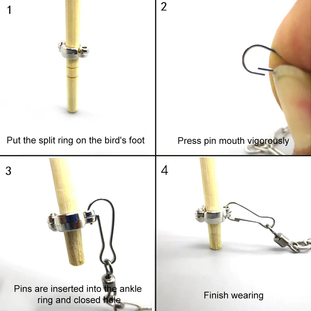 1Pcs Pet Parrot Leg Ring Ankle Foot Chain - MyPetDollar.com