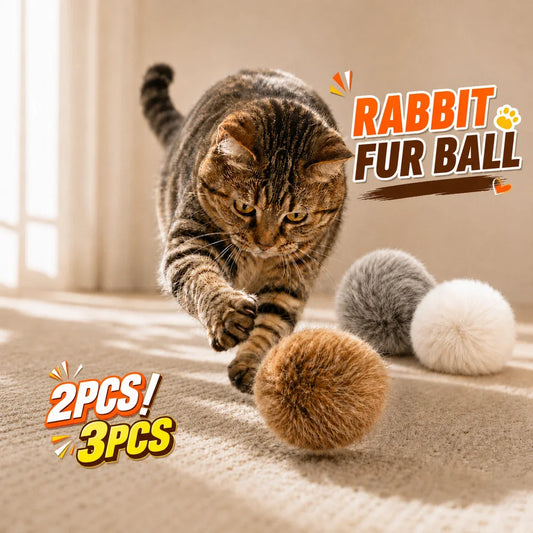 2/3pcs Natural Rabbit Fur Ball Cat Toy - MyPetDollar.com
