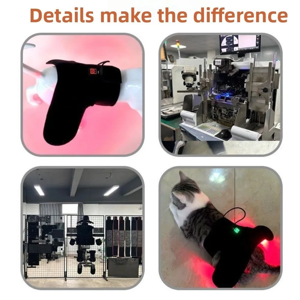 Automatic Timing Pet Red Light Recovery - MyPetDollar.com