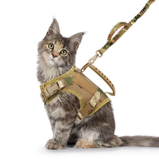 Tactical Cat Harness and Leash Set For - MyPetDollar.com