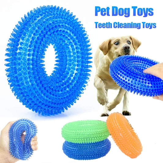 Squeaky Pet Dog Interactive Chew Toy, - MyPetDollar.com