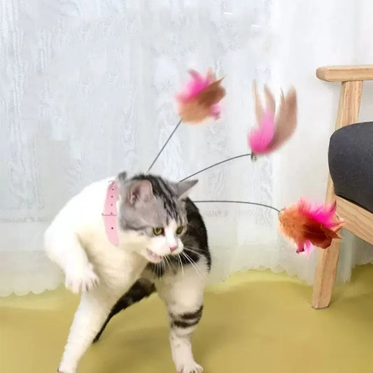 Interactive Cat Toys Funny Feather Teaser - MyPetDollar.com