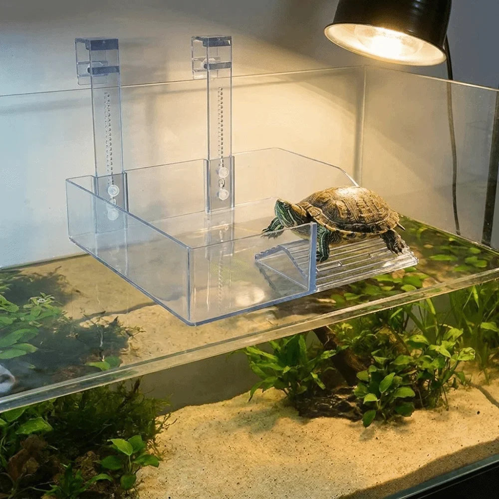 Plastic Turtle Basking Platform Height - MyPetDollar.com