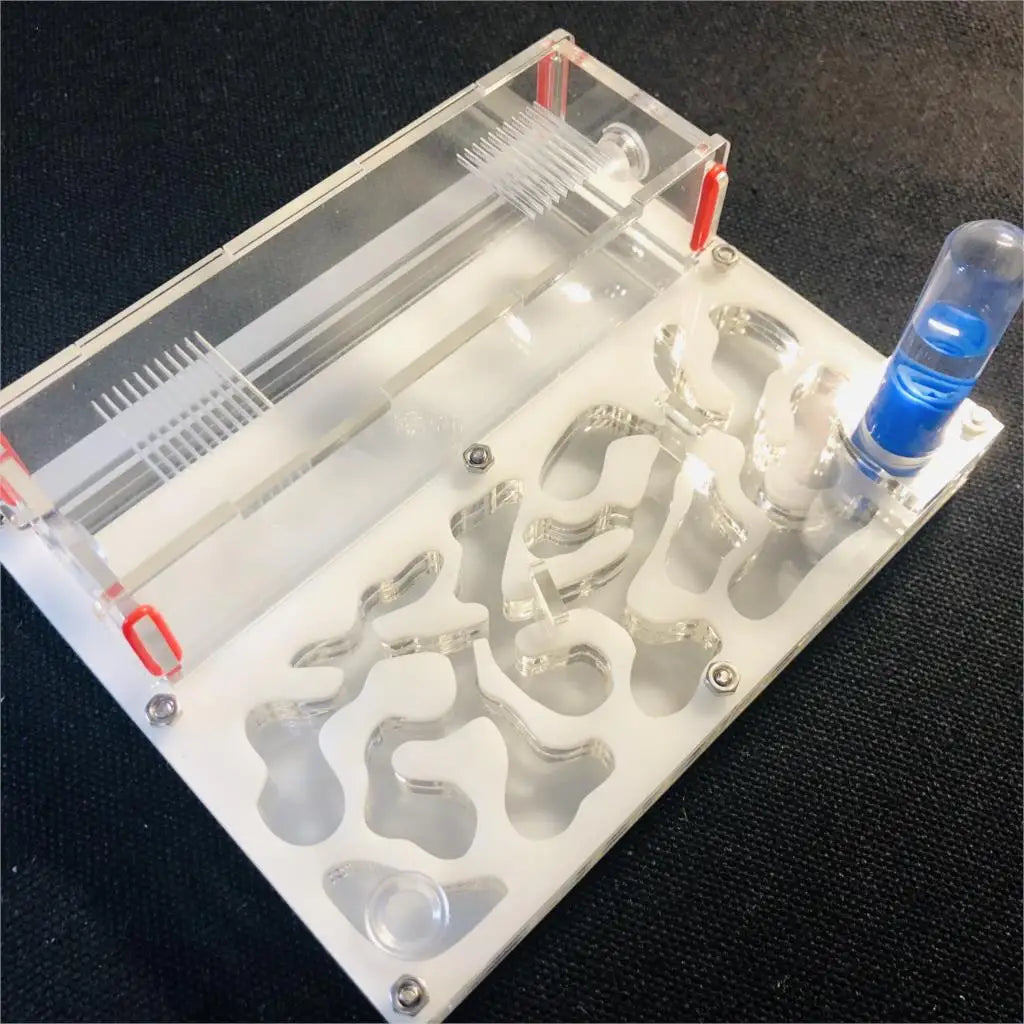 150mmx110mm test tube Moisture big space Ant - MyPetDollar.com