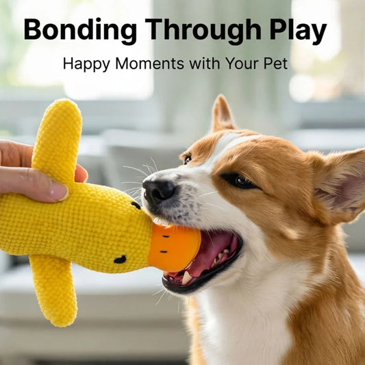 Squeaky Plush Duck Dog Chew Toy Bite - MyPetDollar.com