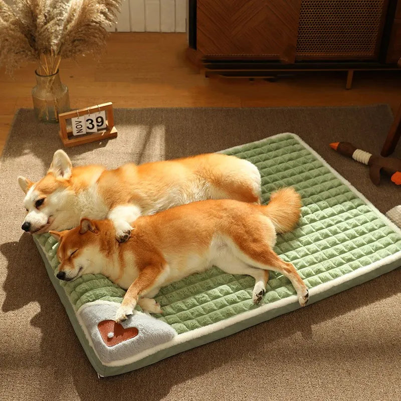Pet Dog bed mat Protect cervical spine - MyPetDollar.com