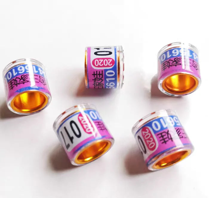 8mm 2026 Pigeon Rings Customized Bird Pigeon - MyPetDollar.com