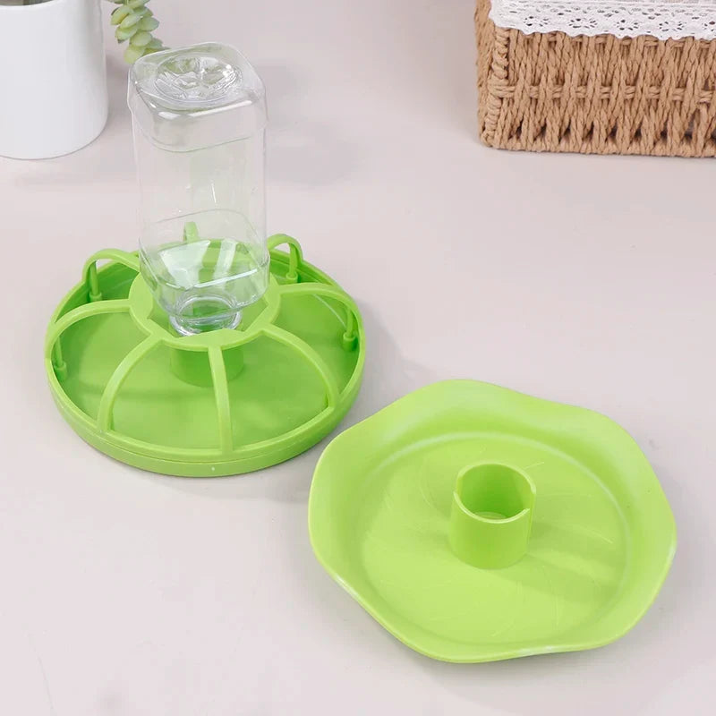 Reptile Feeders Reptile Water Drinker - MyPetDollar.com