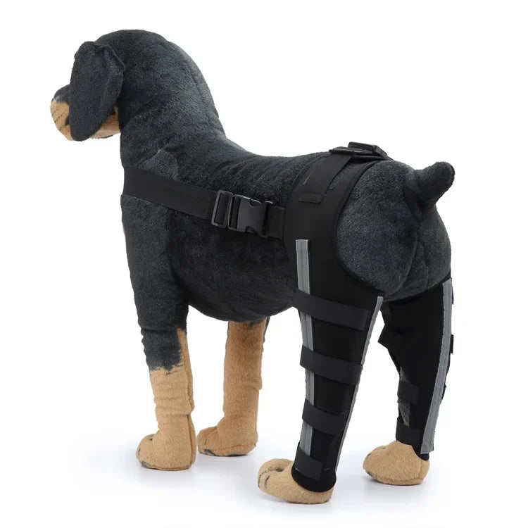 Pet Puppy Knee Pads Dog Back Leg Braces for - MyPetDollar.com