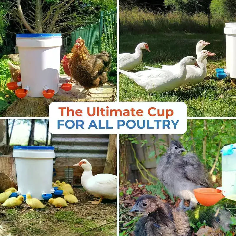 5Pcs Automatic Drinking Bowl Chicken Drinker - MyPetDollar.com