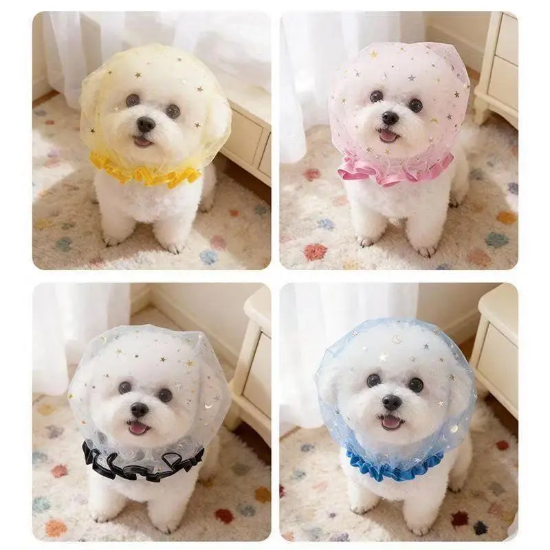 1 Pc Pet Anti-accidental Ingestion - MyPetDollar.com